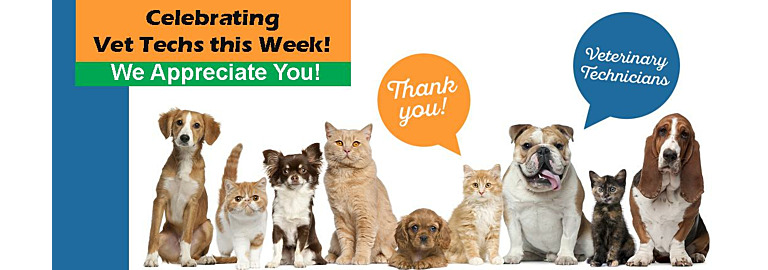 Celebrate Vet Tech Week: Thank You for Your Dedication!