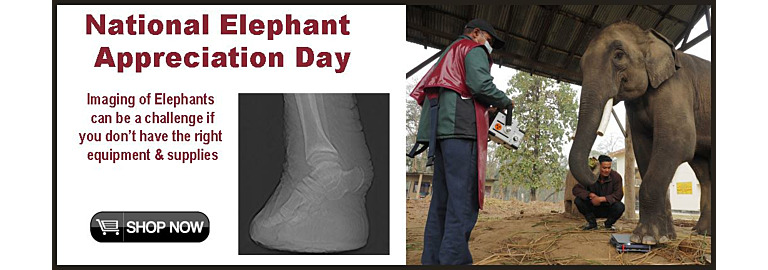 National Elephant Appreciation Day is today