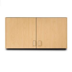 48" Wide Wall Cabinet with 2 Doors and 1 Adjustable Shelf